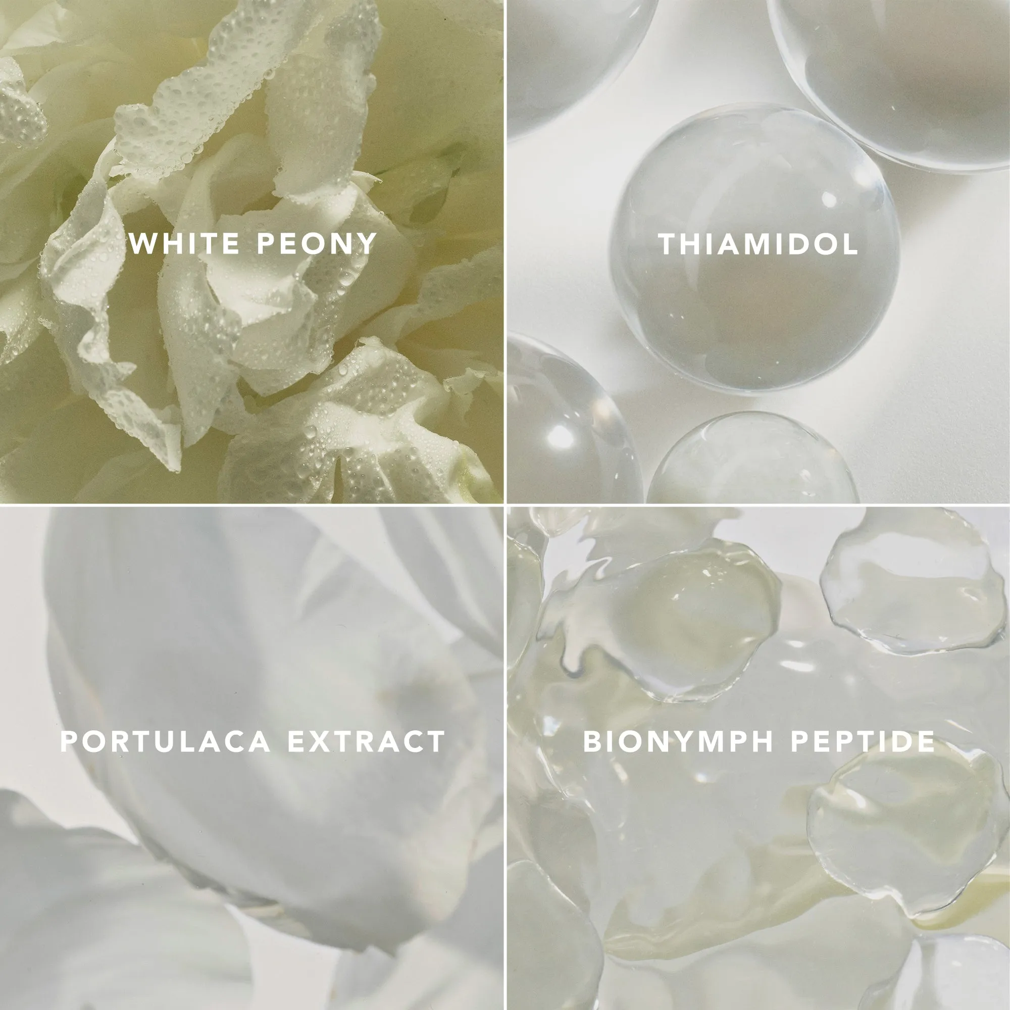 Blanc Peony Face Cream Dark Spot Corrector Chantecaille